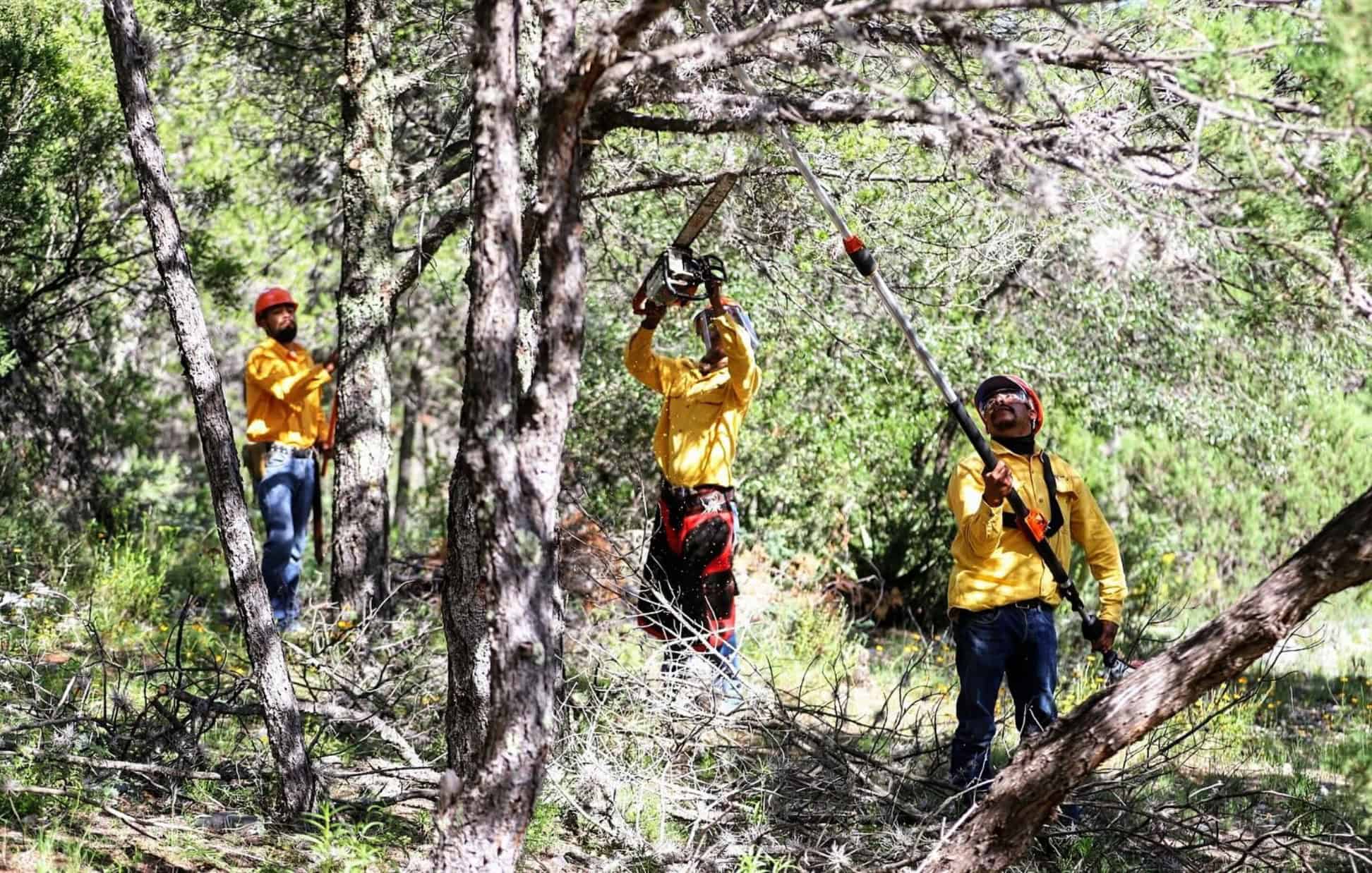 Brigadistas de Arteaga reciben apoyo con equipo especializado para combatir incendios forestales
