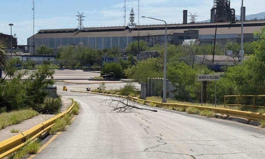 Inversionistas visitan AHMSA en busca de soluciones