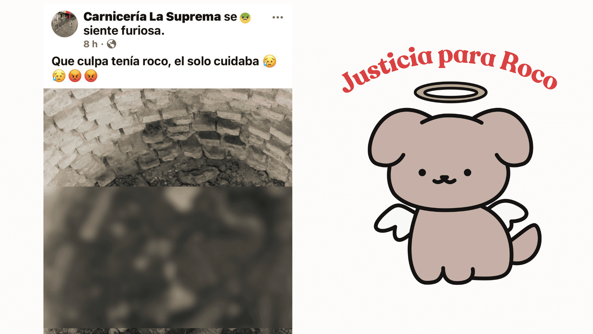 Indignación en Palaú ante brutal asesinato de "Roco", el perro guardián de una carnicería