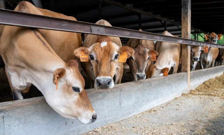 USDA inspeccionará cuarentenaria en Piedras Negras