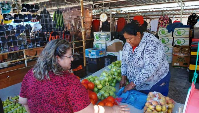 Productores de Manzana en Arteaga Inician Temporada con Precio Favorable