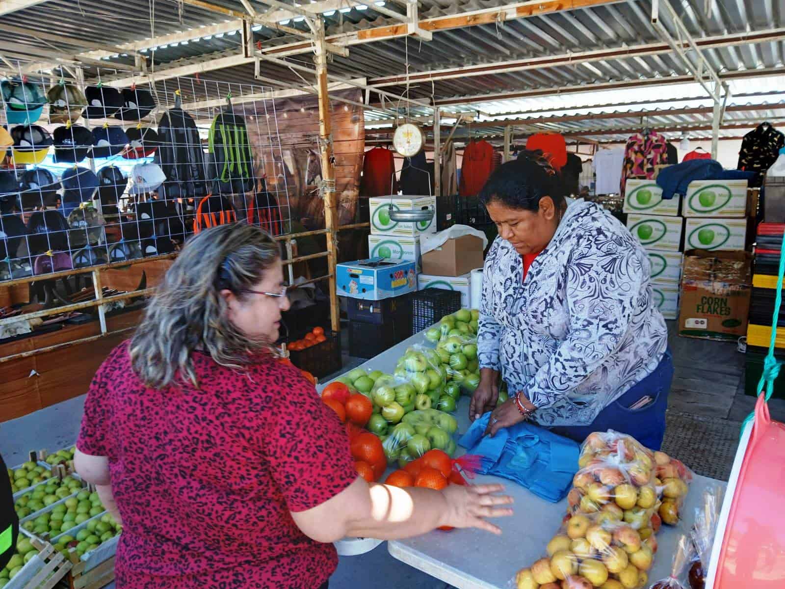 Productores de Manzana en Arteaga Inician Temporada con Precio Favorable