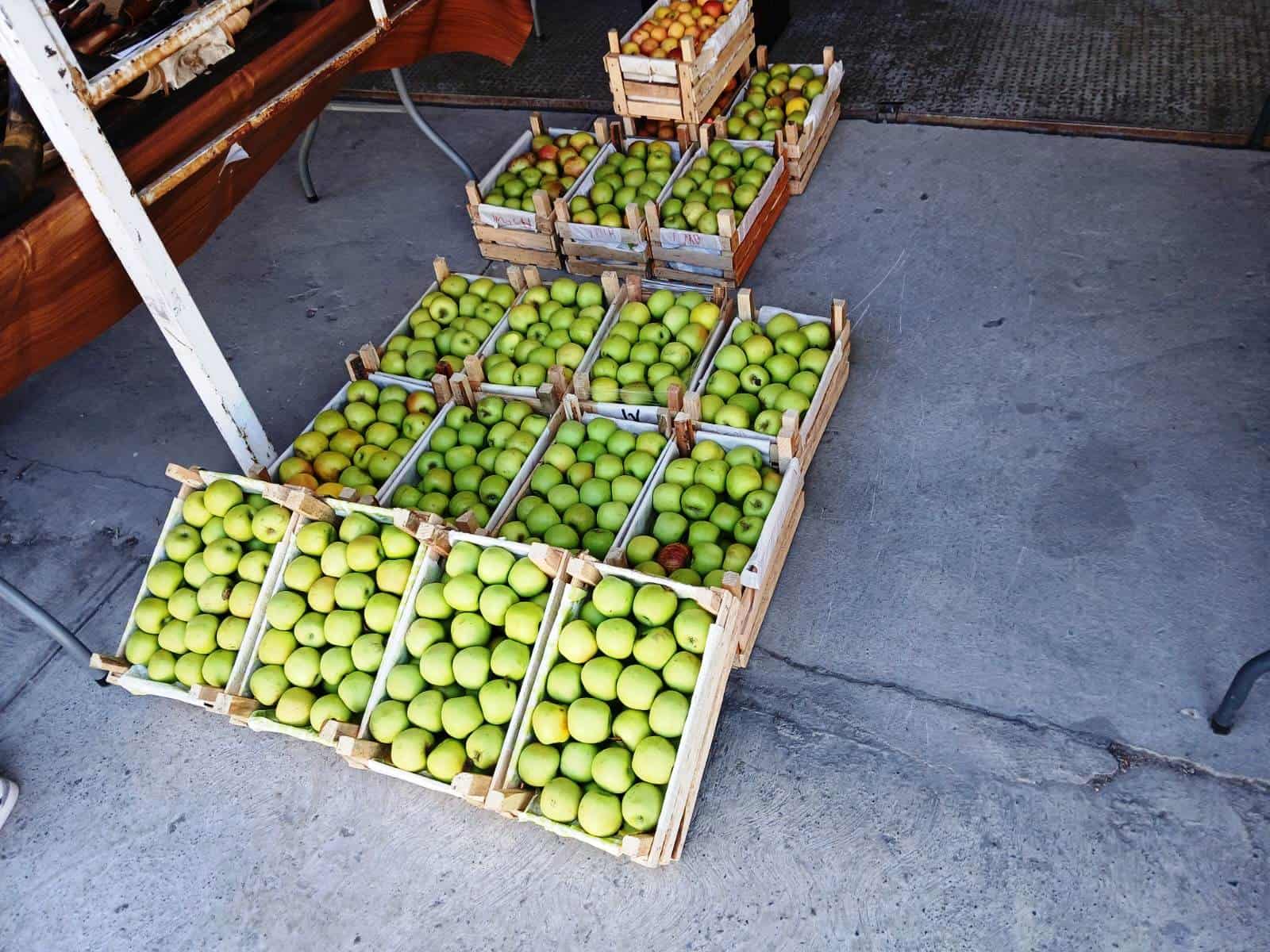 Productores de Manzana en Arteaga Inician Temporada con Precio Favorable