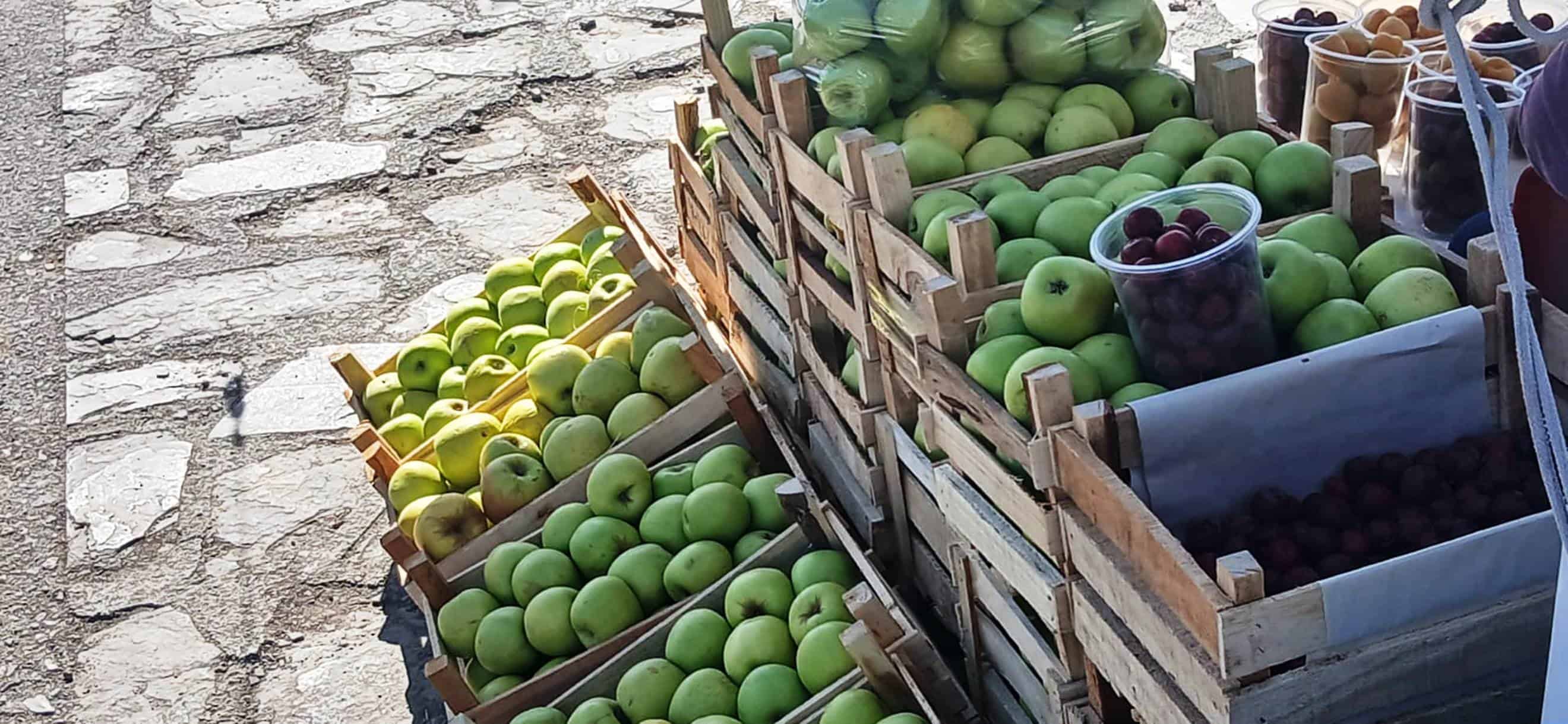 Productores de Manzana en Arteaga Inician Temporada con Precio Favorable