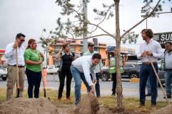 Alcalde de Saltillo lidera plantación de 10 mil árboles en jornada verde