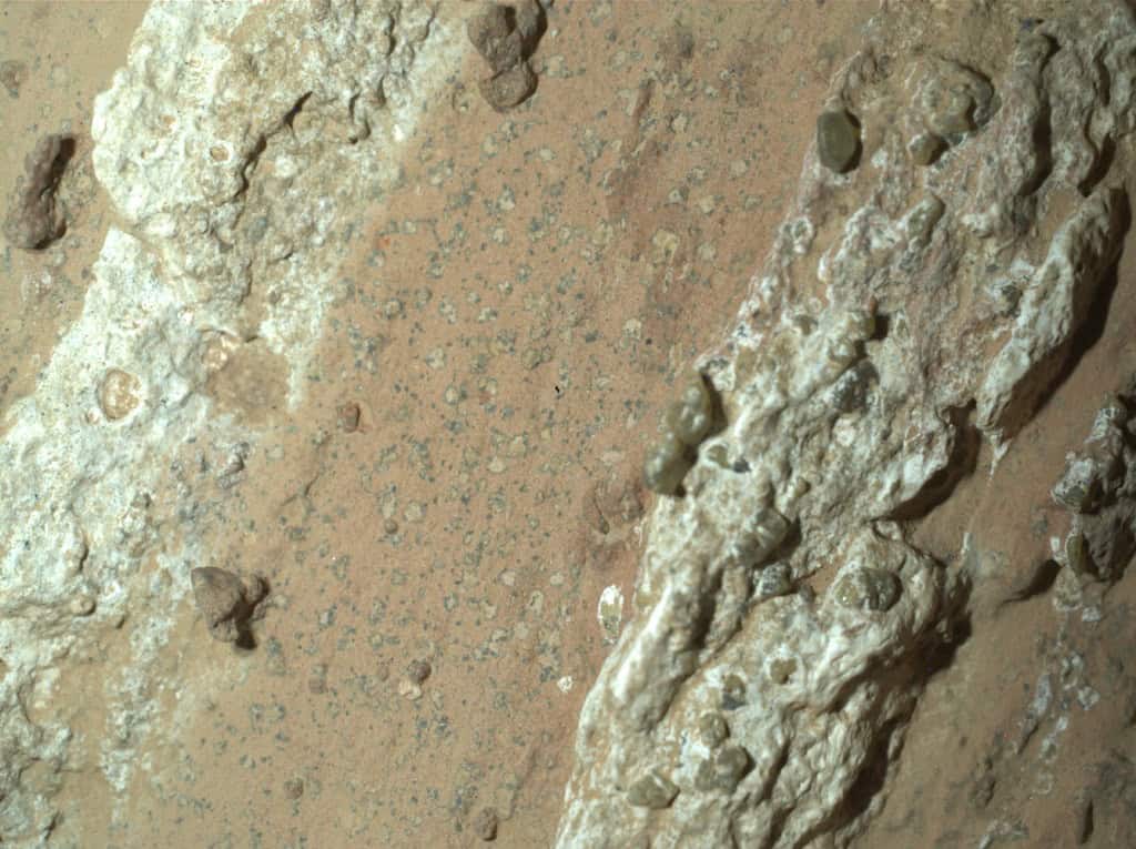 ¿Vida en Marte? NASA halla posible biofirma en muestra recolectada por Perseverance