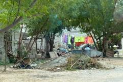 Fumigación y prevención ante brote de dengue en Frontera