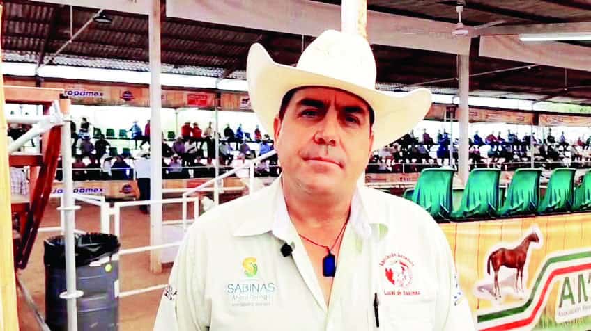 Programa Fomento Ganadero fortalece ganadería local con entrega de sementales bovinos