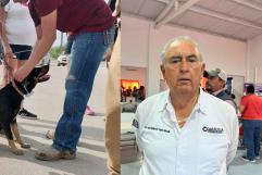 Alerta Sanitaria en Acuña por Aumento de Mascotas Callejeras