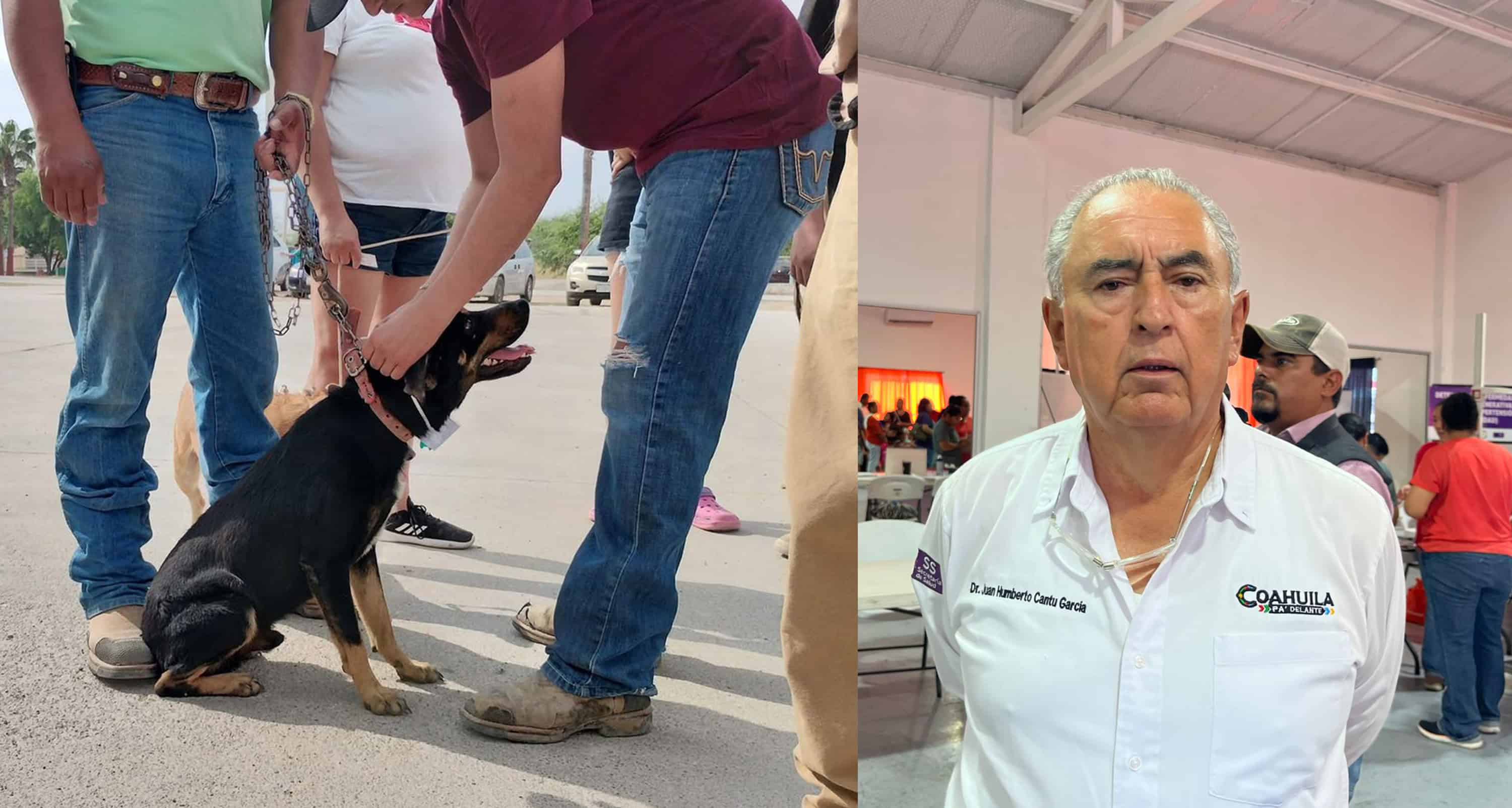 Alerta Sanitaria en Acuña por Aumento de Mascotas Callejeras