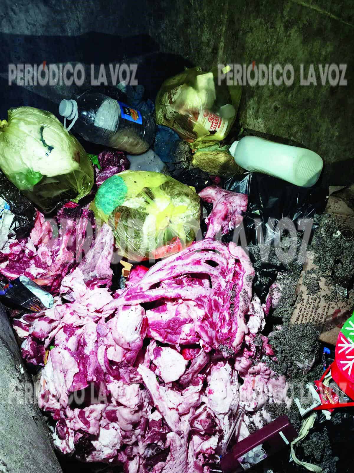 Vecinos de Monclova Alarmados por Olor Nauseabundo en Contenedor de Basura