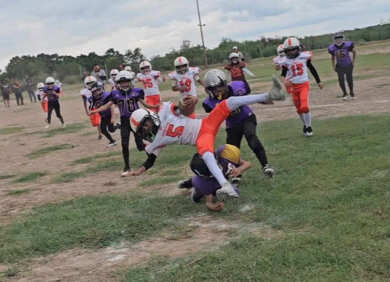 Club Zorros triunfa en debut de Temporada Infantil 2025