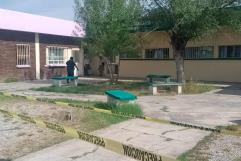 Protección Civil atiende picaduras por enjambre de abejas