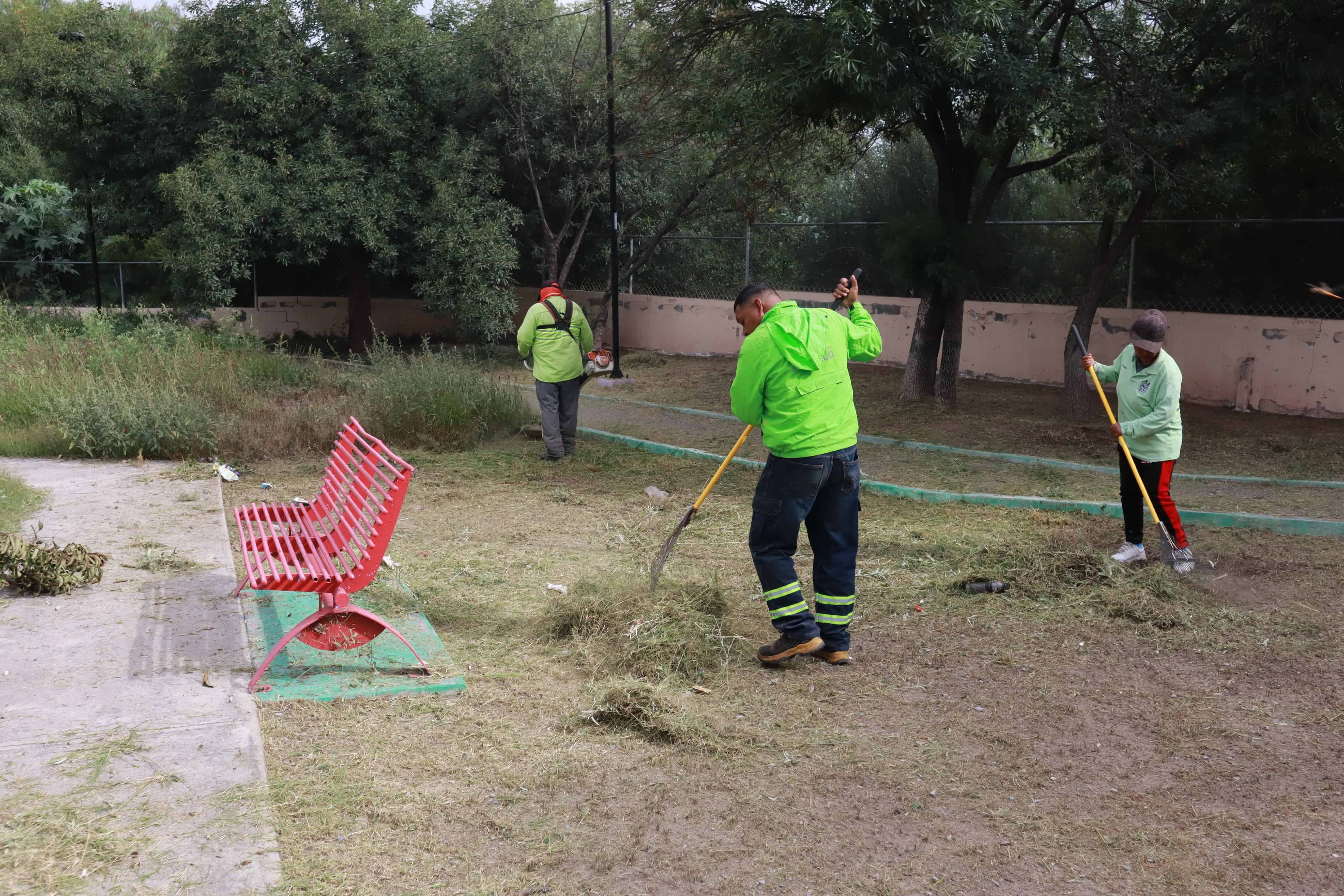 Acciones de limpieza urbana en Saltillo para combatir fauna nociva