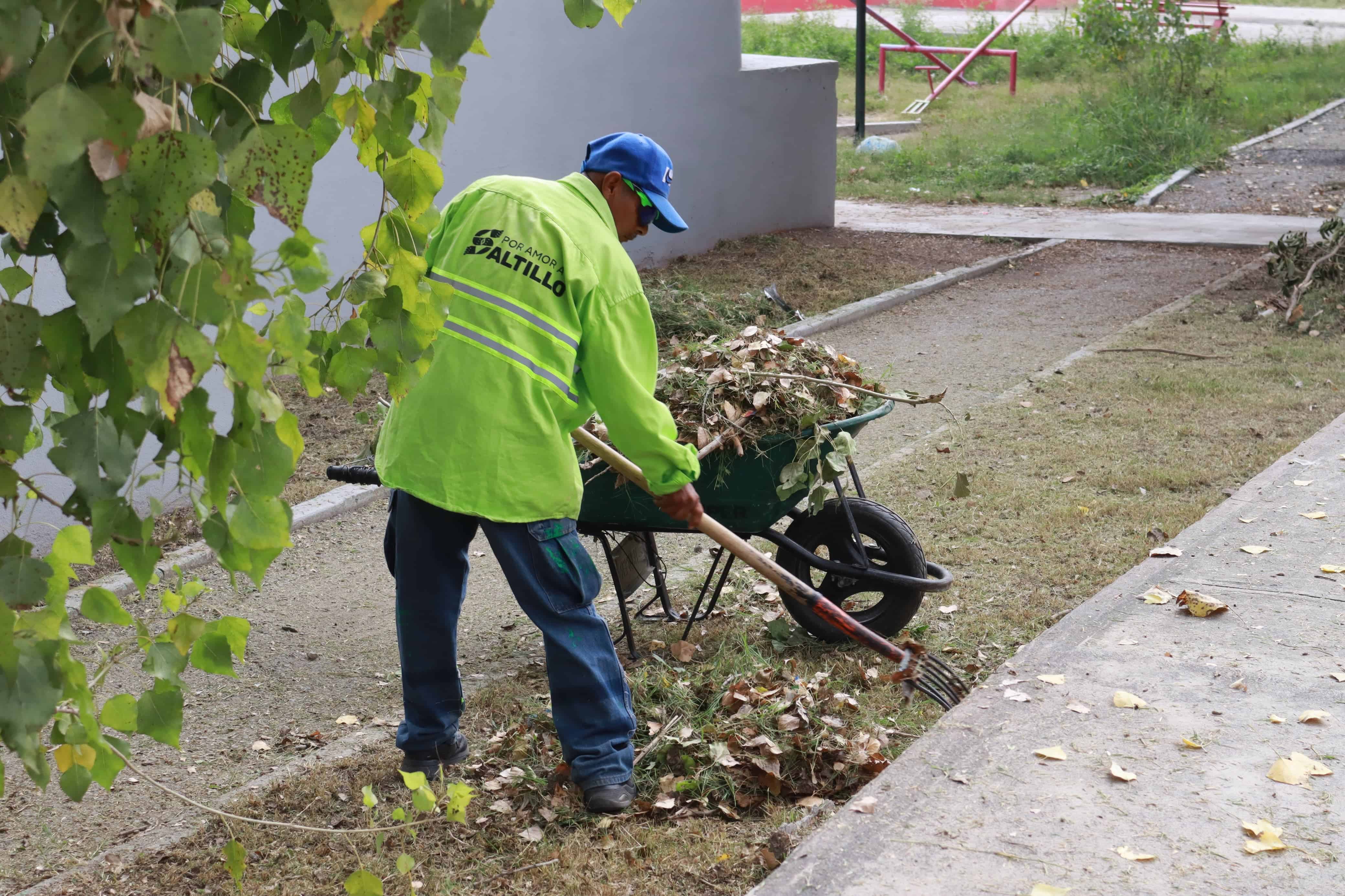 Acciones de limpieza urbana en Saltillo para combatir fauna nociva