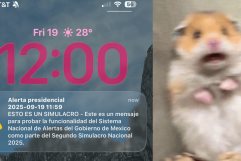 ¿Te asustaste? Alerta Sísmica espanta a usuarios de Monclova