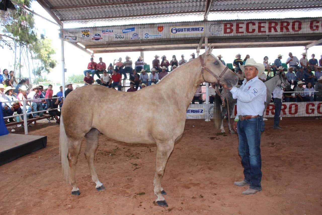 Morelos brilla en el Concurso Nacional de Cuarto de Milla 2025
