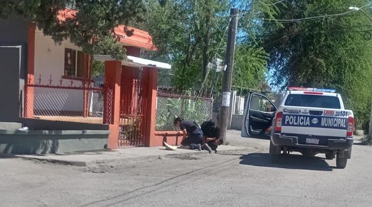 Detienen a presunto ladrón En tienda de conveniencia