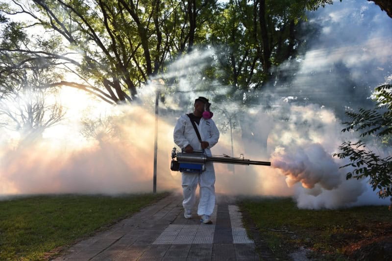 Participación Comunitaria Clave en Prevención del Dengue en Coahuila