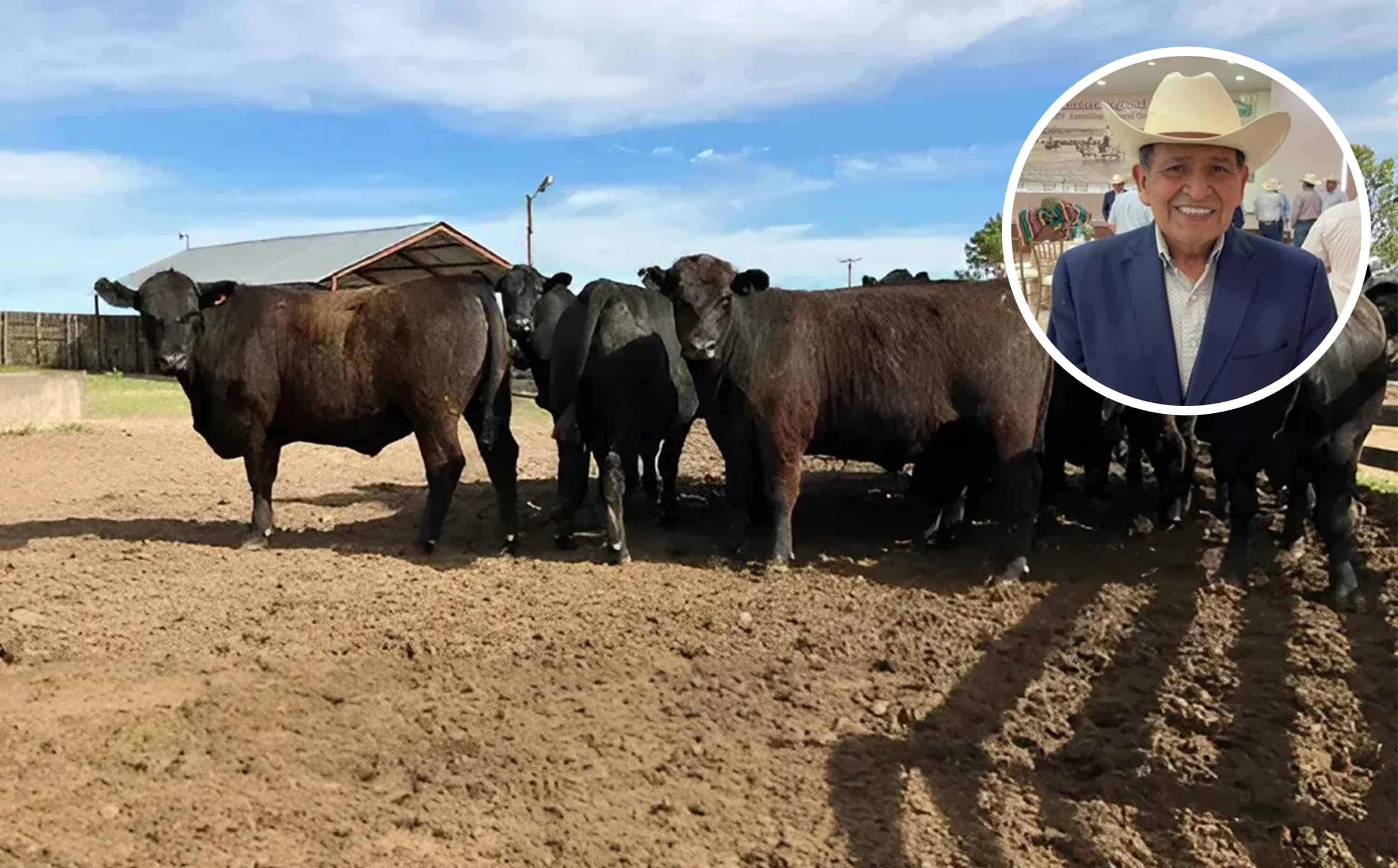 Detectan gusano barrenador cerca de Coahuila y refuerzan controles sanitarios