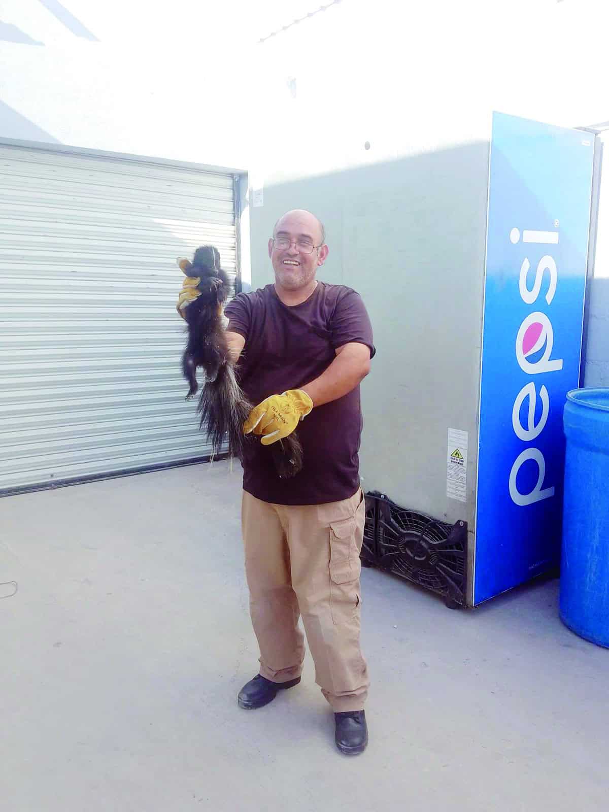 Armando López Guerrero protege fauna urbana en rescate