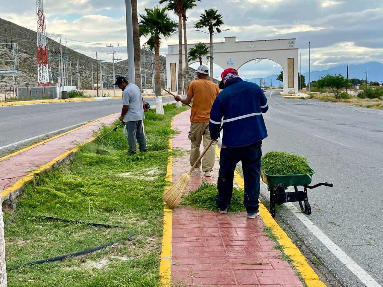 Presidenta del DIF dona bugambilias para embellecer bulevar Juárez en Cuatro Ciénegas