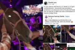 Denunciarán a dueños de caballo que ingresó a bar en Saltillo