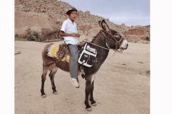 Niño ocampense recorre kilómetros en burro para llegar a la escuela