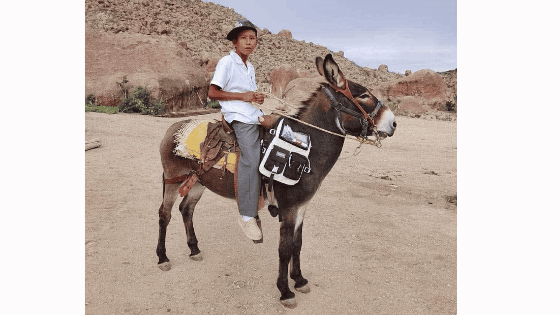 Niño ocampense recorre kilómetros en burro para llegar a la escuela