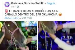 Escándalo en Saltillo: Caballo en Bar Desata Indignación