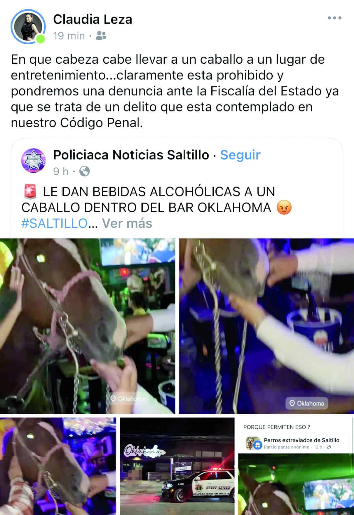 Escándalo en Saltillo: Caballo en Bar Desata Indignación