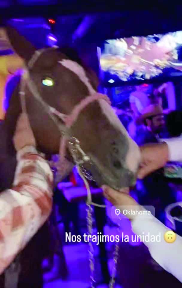 Escándalo en Saltillo: Caballo en Bar Desata Indignación