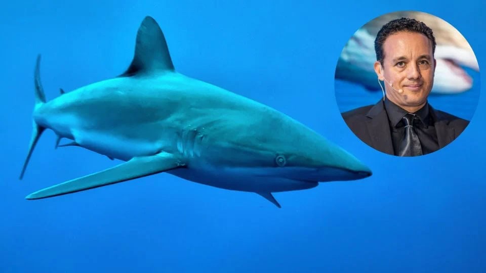 Ataque de tiburón Galápagos deja herido a biólogo marino en Isla del Coco