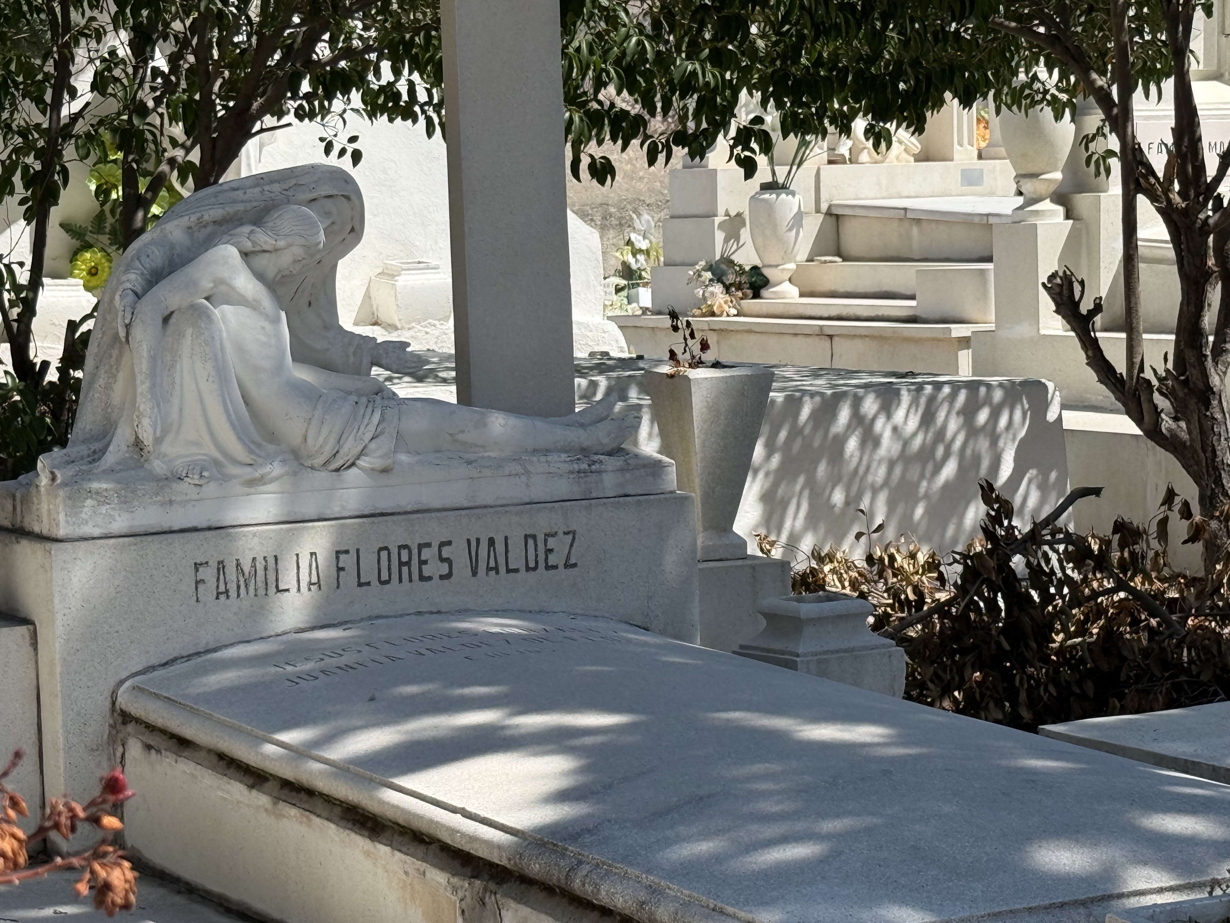 Deterioro y abandono en panteón La Luz de Arteaga