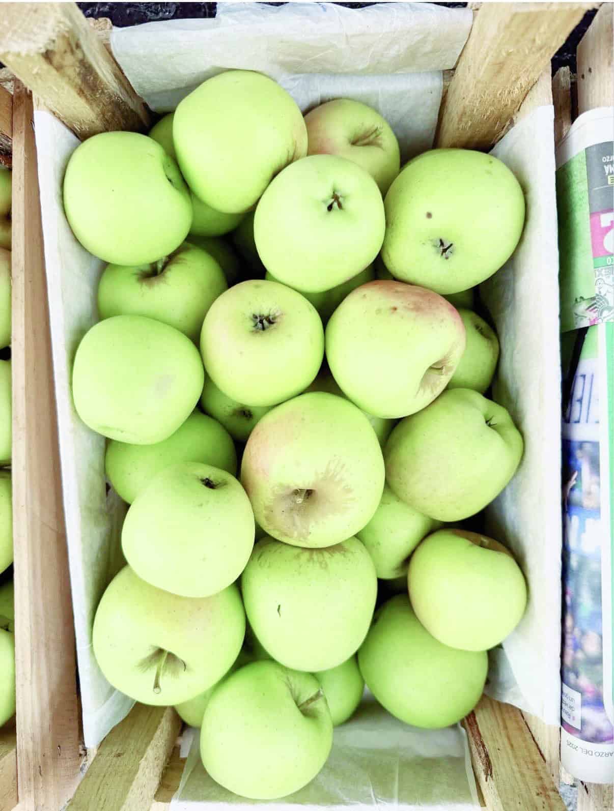 Afectan heladas tardías producción de manzana