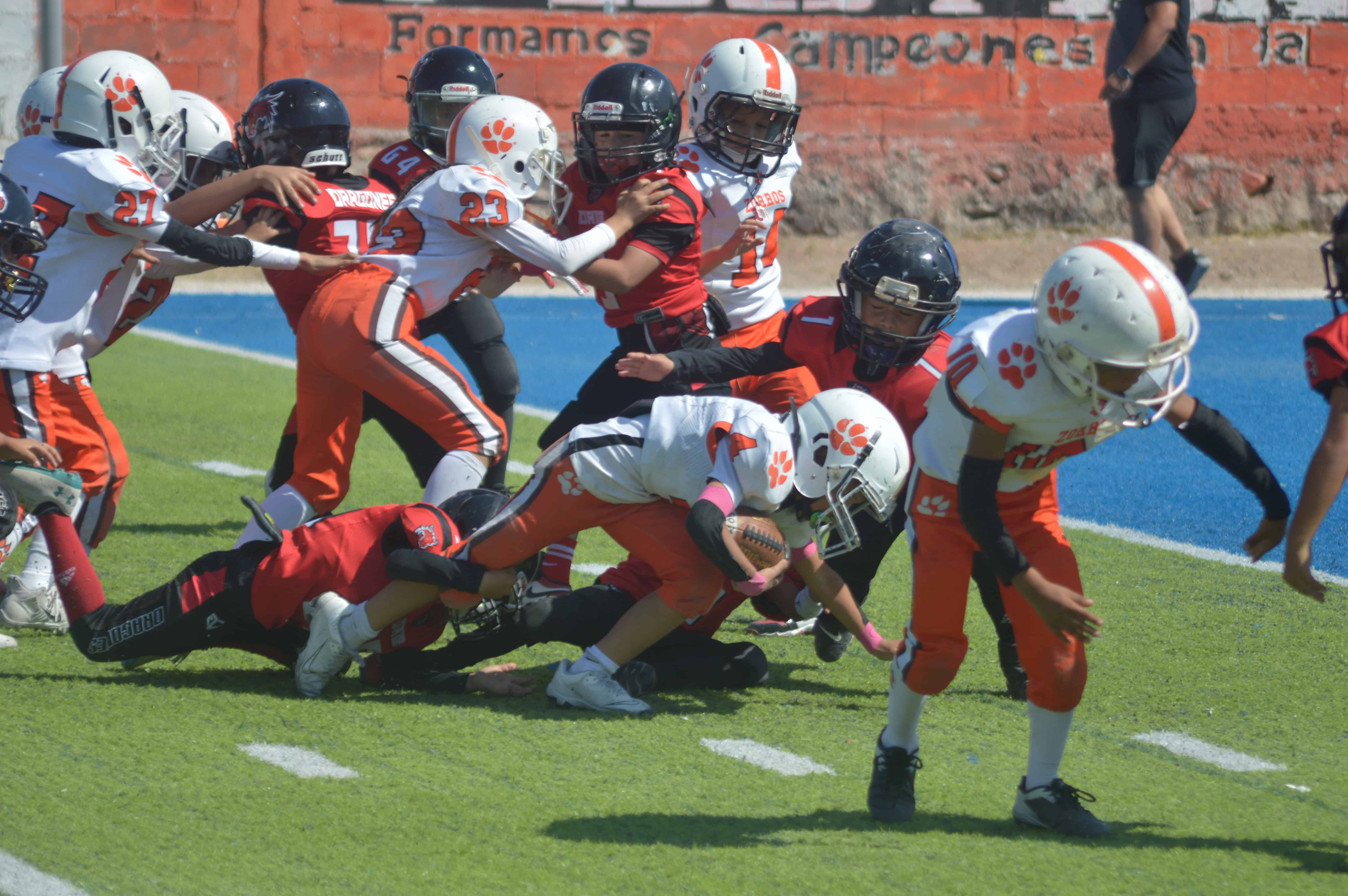 Dragones de Piedras Negras lideran la Temporada Infantil 2025 con autoridad