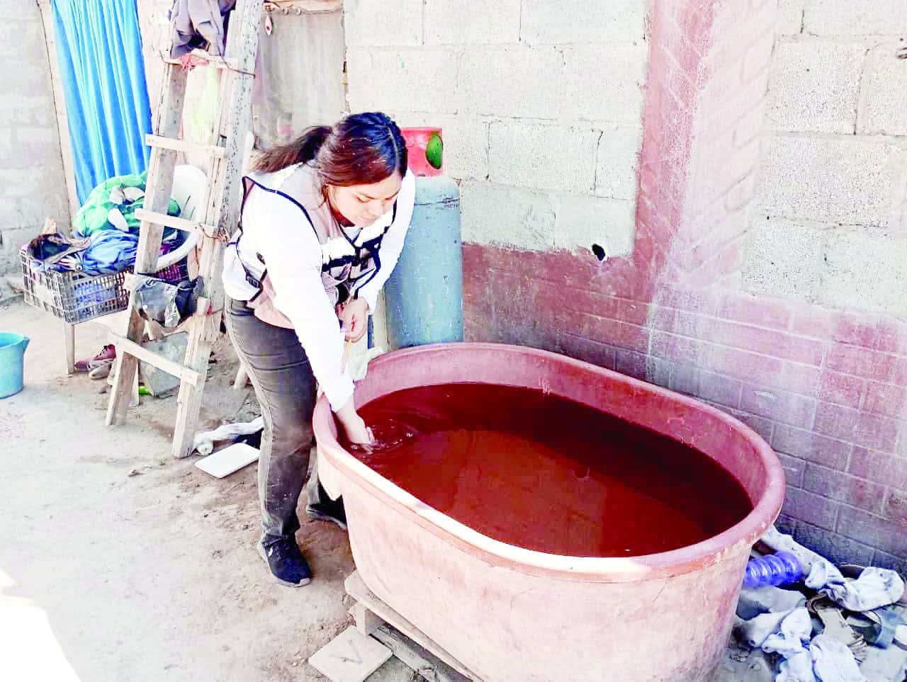 Aumentan los casos de dengue en la región Centro