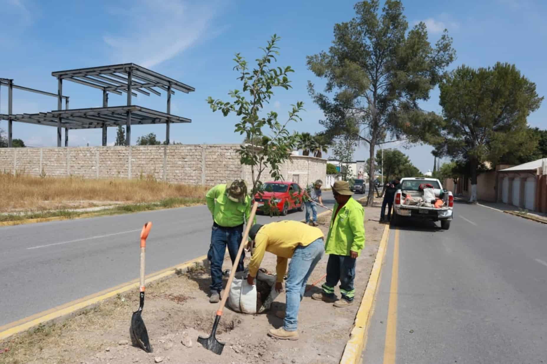 Gobierno de Saltillo realiza jornada de reforestación en la ciudad