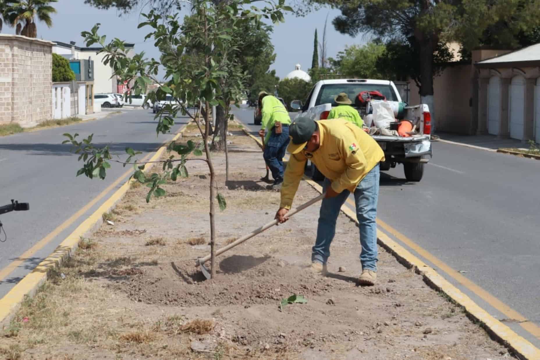 Gobierno de Saltillo realiza jornada de reforestación en la ciudad