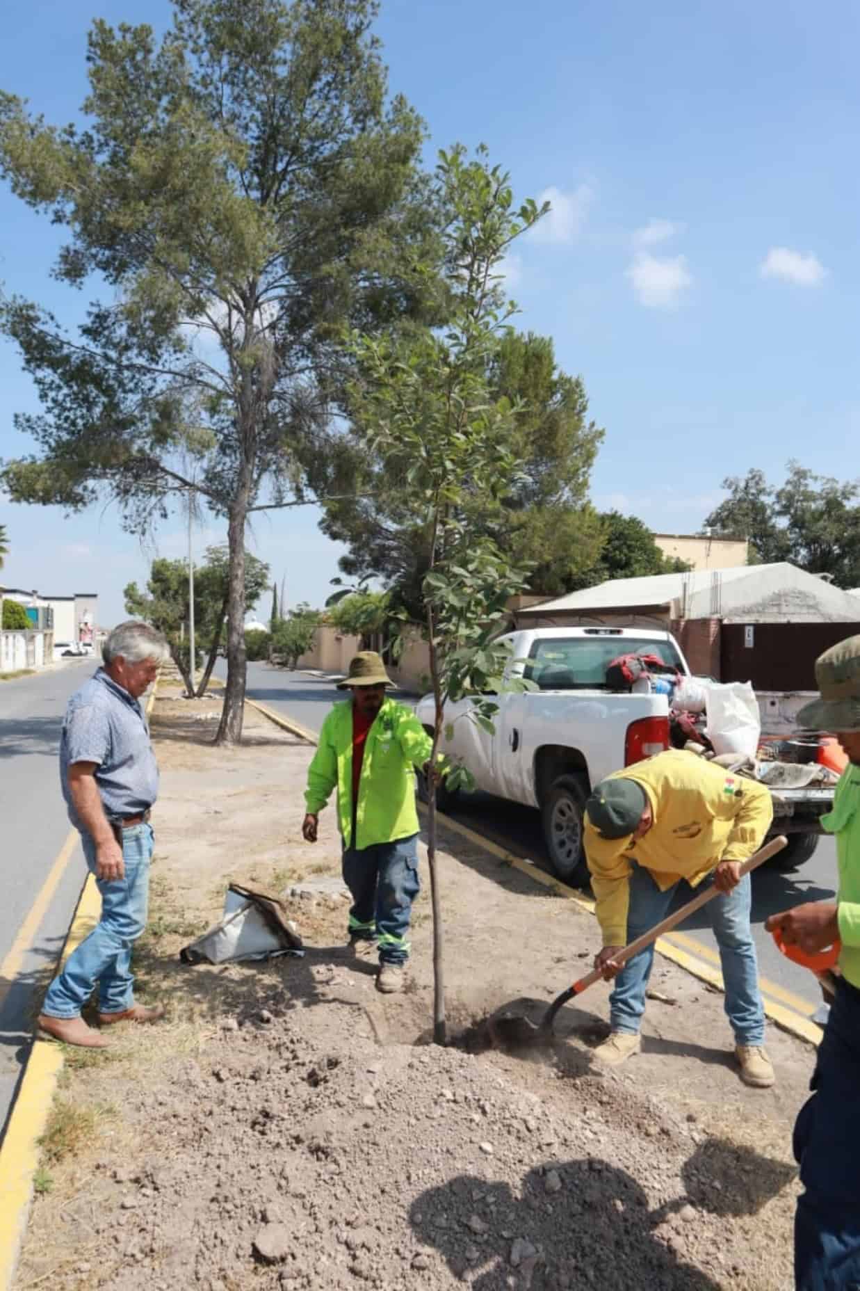 Gobierno de Saltillo realiza jornada de reforestación en la ciudad