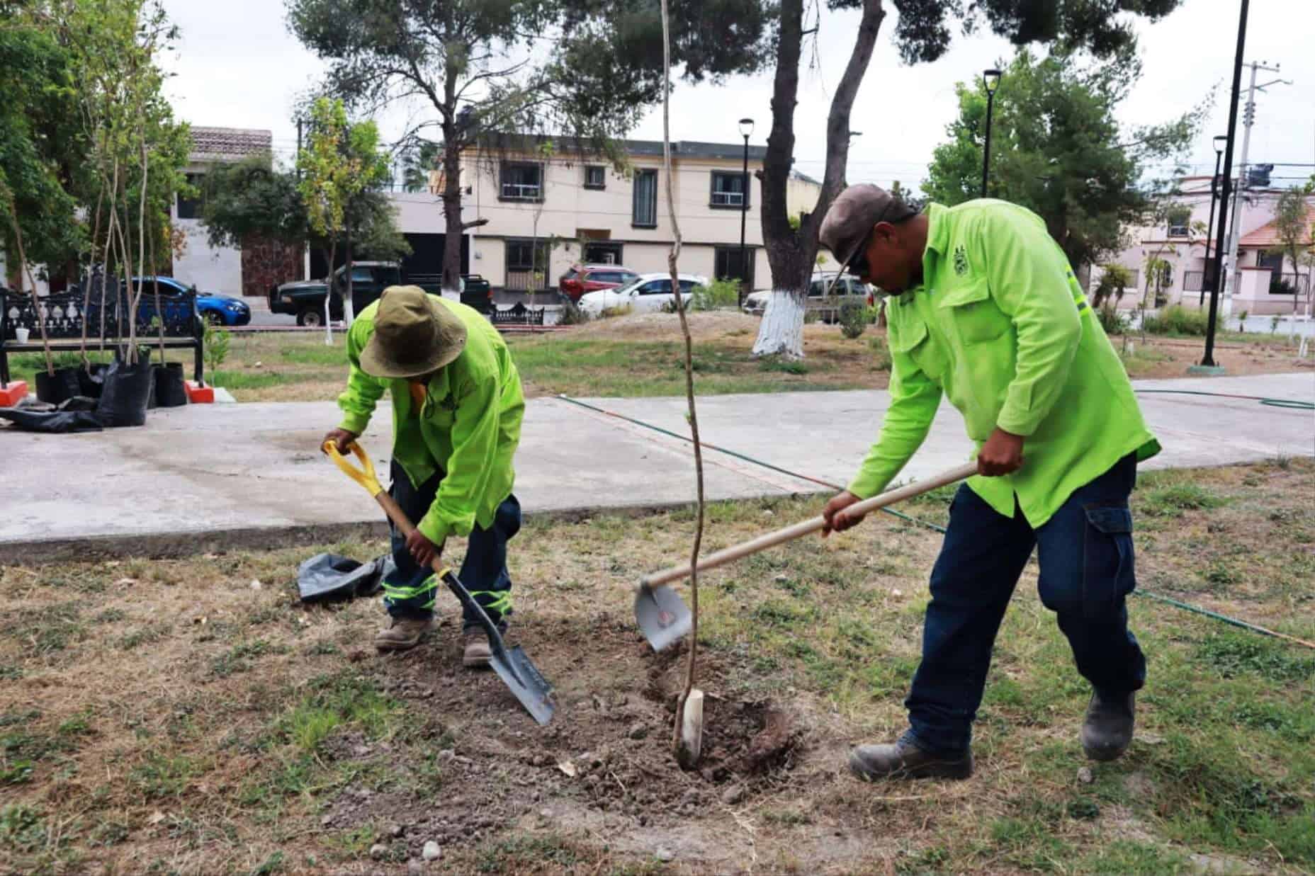 Reforestación en Plaza Pública de Saltillo: Compromiso Ambiental y Ciudadano