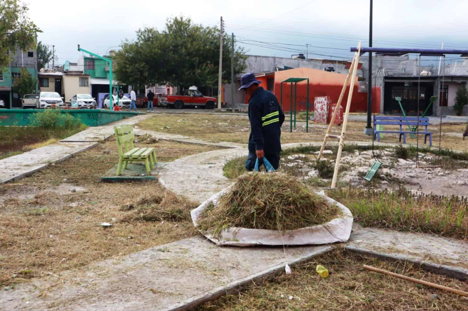 Reforestación en Plaza Pública de Saltillo: Compromiso Ambiental y Ciudadano
