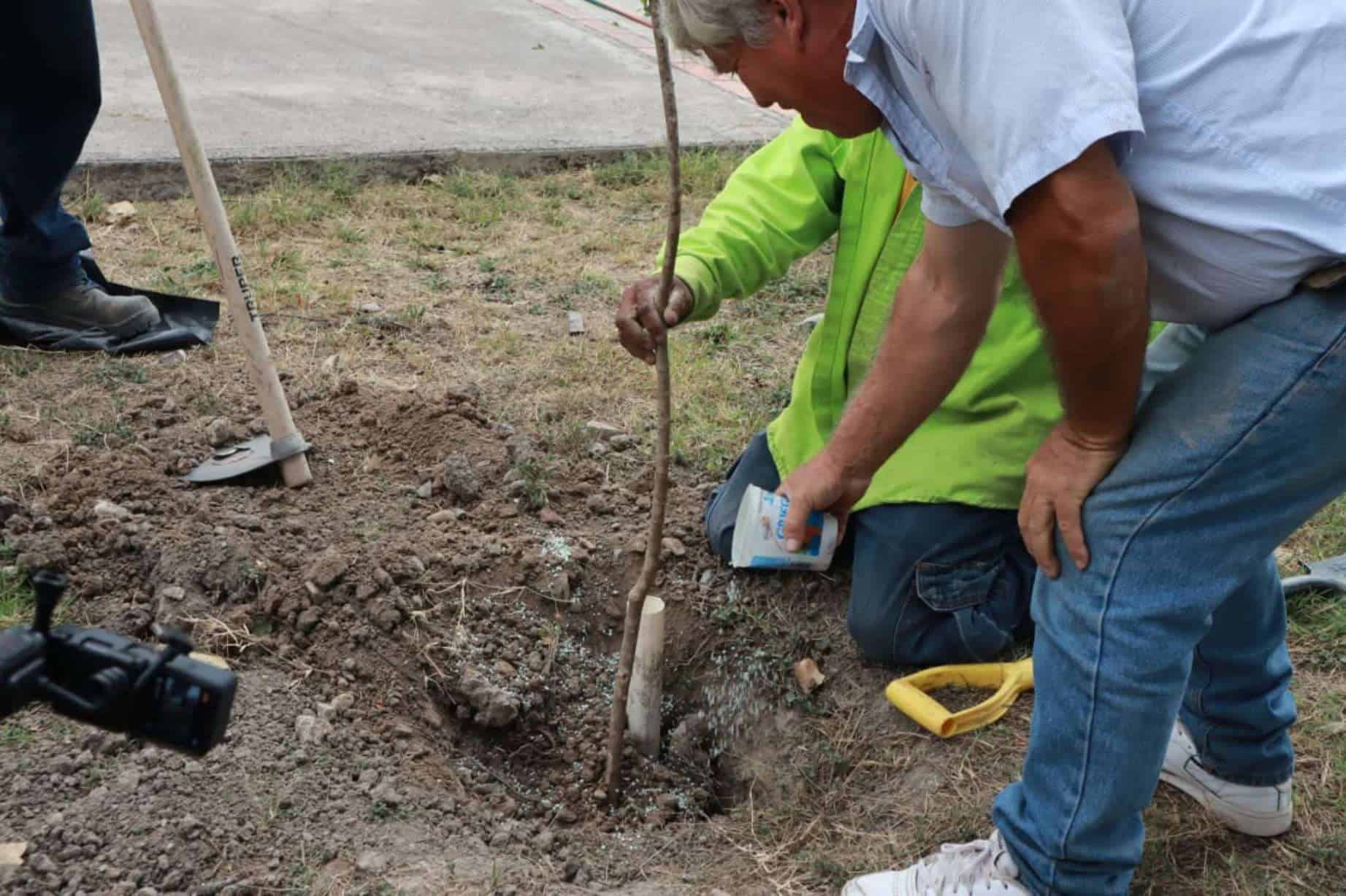 Reforestación en Plaza Pública de Saltillo: Compromiso Ambiental y Ciudadano