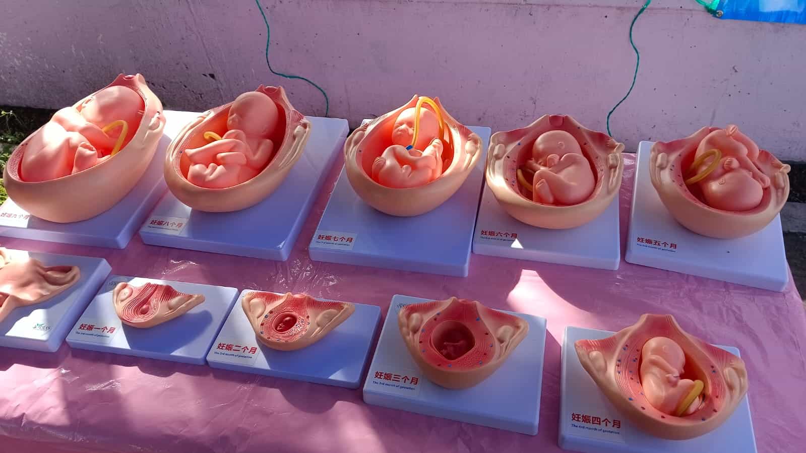 Inicia Programa 40 días por la vida en Diócesis de Piedras Negras