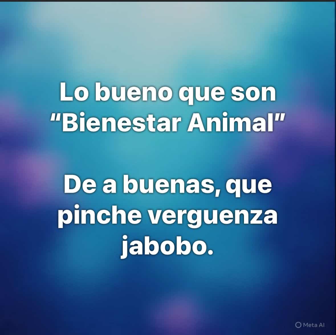 Indignación en ciudadanos por video que muestra a empleados municipales arrojando perros muertos al relleno sanitario