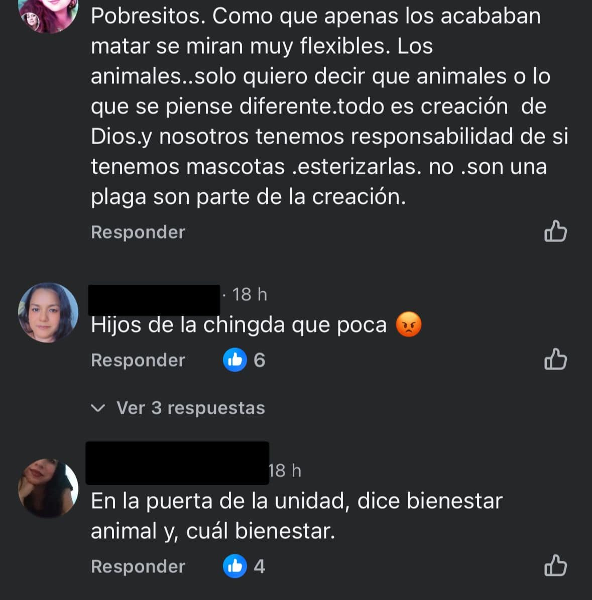Indignación en ciudadanos por video que muestra a empleados municipales arrojando perros muertos al relleno sanitario