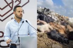 Acusa Jacobo Rodríguez campaña orquestada” tras video de perros arrojados al basurero