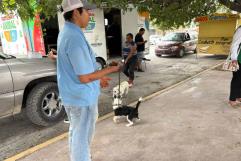 Atienden a mascotas en colonias