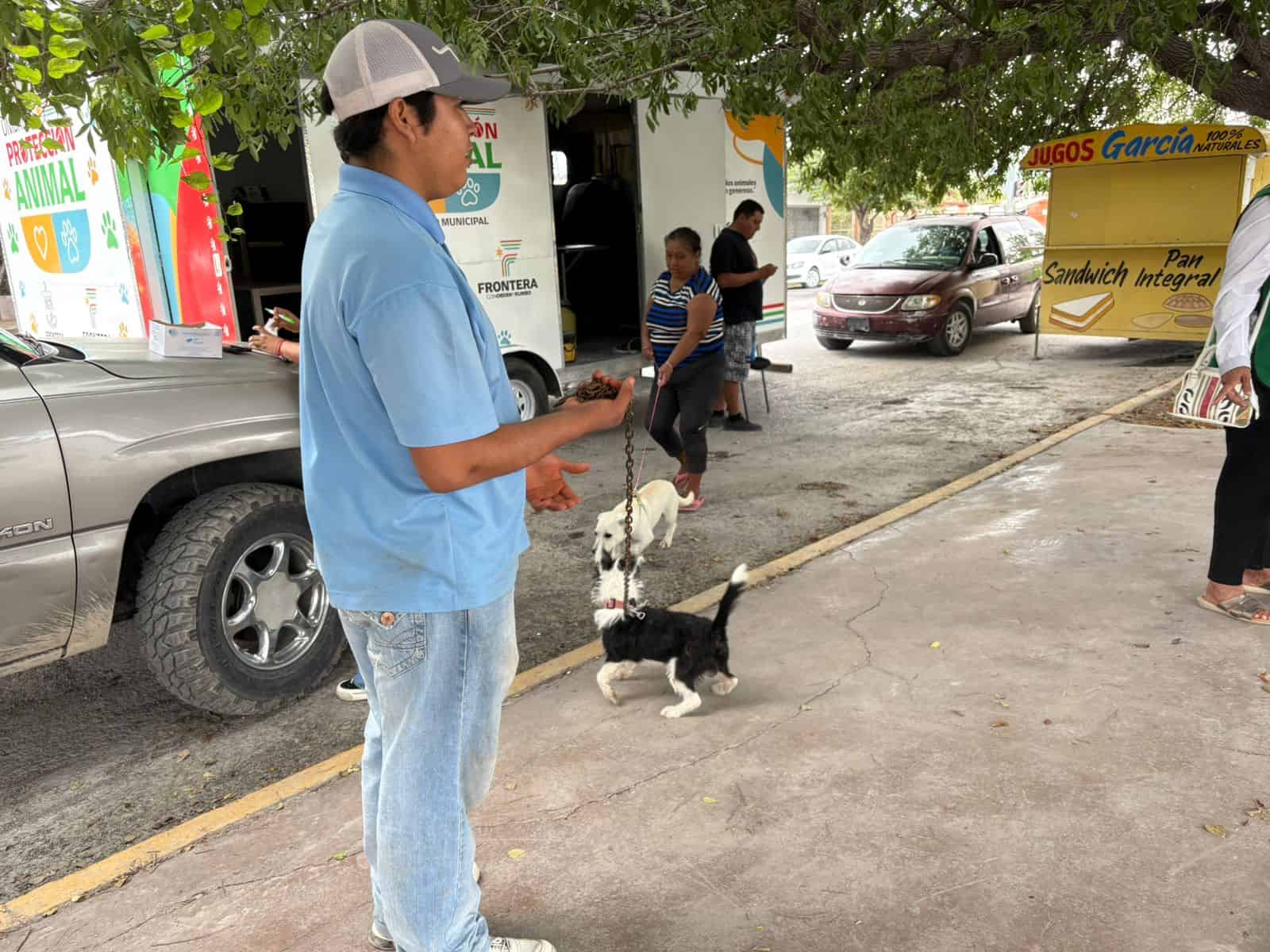 Atienden a mascotas en colonias