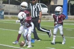 Club Potros consigue doble victoria sobre Broncos en emocionante jornada